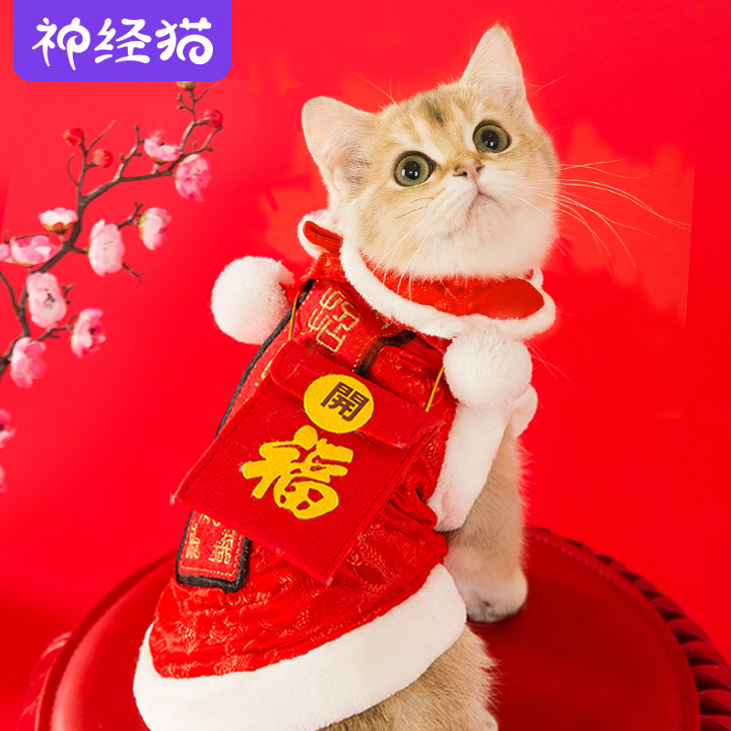 Festival Tang Downloaded Cat Clothes Spring Petty KittenCat Short Blue Cat Spring and Autumn Costumes