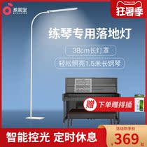 Hasbro piano lamp Eye protection floor lamp Simple modern study bedroom vertical piano practice special reading table lamp