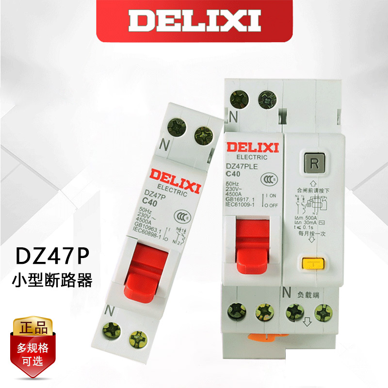 Delixi double in double out leakage protection leakage protection air open DPNLE DZ47-6A-40A