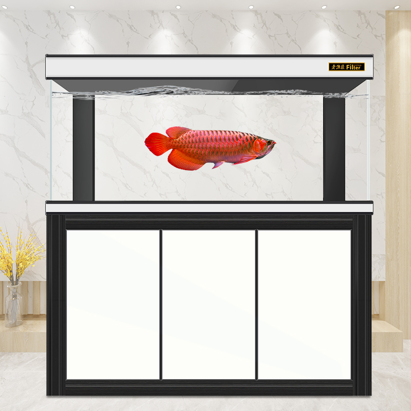 Old Fishing Artisan Fish Tank Home Ultra White Glass Red Dragon Vat Aquarium With Large Bottom Filter Eco-Free Water Living Room