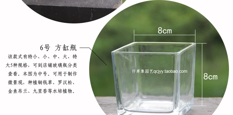 Bình thủy canh hình trụ thủy tinh vuông Bình thủy canh bình thủy tinh chai thủy canh hoa thủy canh - Vase / Bồn hoa & Kệ