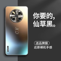 【Сянкао черный】