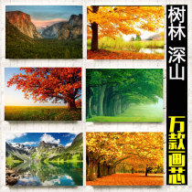 Pastoral scenery poster photo frame National Park Forest forest natural landscape landscape dormitory hanging painting decoration painting