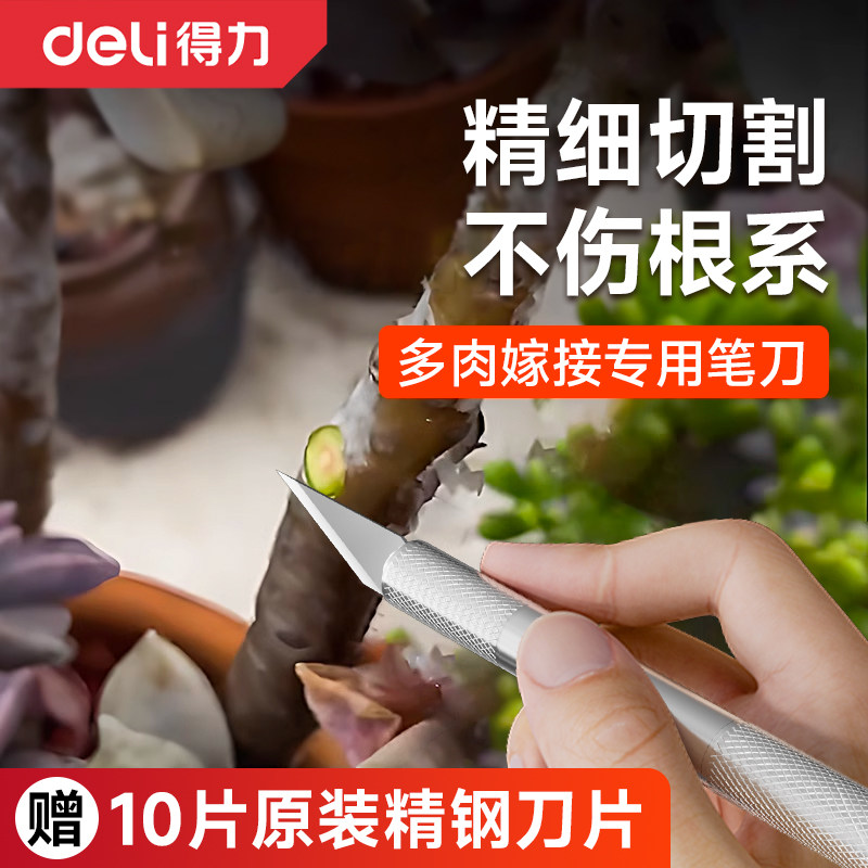 得力多肉砍头刀园艺嫁接专用刀具水仙雕刻蟹爪兰仙人球树苗扦插芽