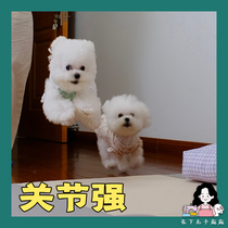 In the lower meat pills joint strong Vicht Germany Vifo 12 dog cat dislocation hip fracture repair