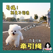 Lower meatballs puppies Traction Rope Flexi Folehy Automatic Flex Walk Dog Rope Pet Puppy