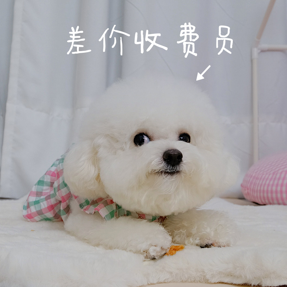 (Under the meatballs) Freight hyperlink is dedicated to make up the difference, single shot does not ship