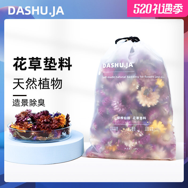 Flower cushion Harden Deodorizing Summer Day Golden Bear Bubbit Springs Hedgehog Material