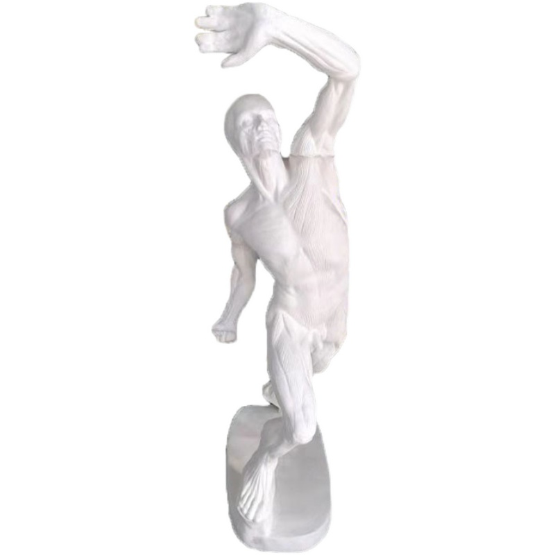 New bag damaged handicraft plaster like figure muscle anatomy male texture art teaching aids sculpture ornaments model
