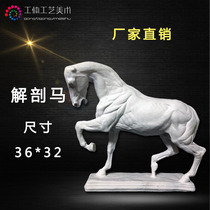 New anatomy of horse animals full-length plaster like Art Teaching Aids still life sculpture ornaments sketch home decorations