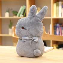 Sweetheart the same bunny bunny hot water bag.