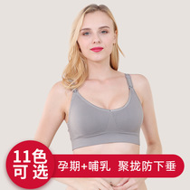 Breast-feeding bra pregnant womens underwear quantity beats 2 pieces for as long as 79 9