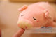 ງາມສີບົວ piglet ຫມູ plush toy doll snooze ຫມູເດັກນ້ອຍນອນ pillow doll rag doll ແມ່ຍິງ