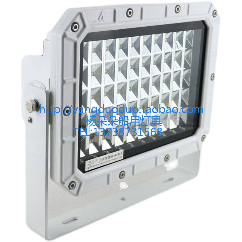 Starfish Marine TG21-L Marine Outdoor LED Stainless Steel Flood Light Spotlight TG22-L Living Room Light 100W 200W
