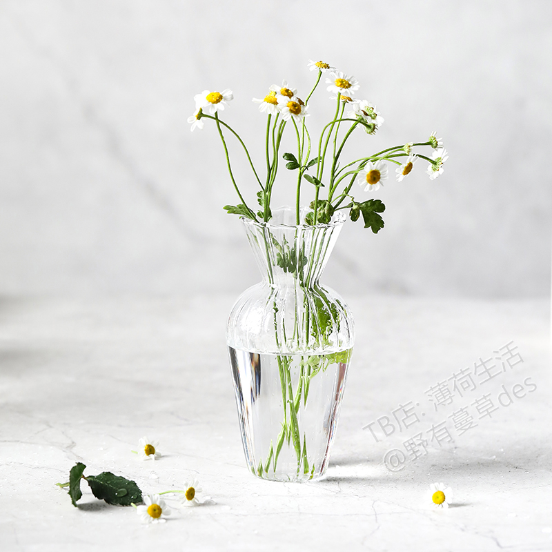 Mint life handmade striped glass vase INS wind transparent glass vase B&B small fresh hydroponic utensils