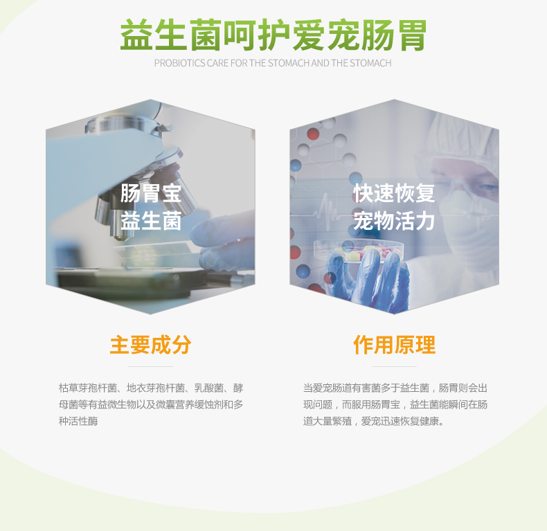 Thú cưng nhỏ dạ dày đường tiêu hóa chó men vi sinh 10 gói điều hòa tiêu hóa tiêu chảy nôn mửa táo bón mèo sản phẩm sức khỏe vật nuôi sữa cho mèo con mất mẹ