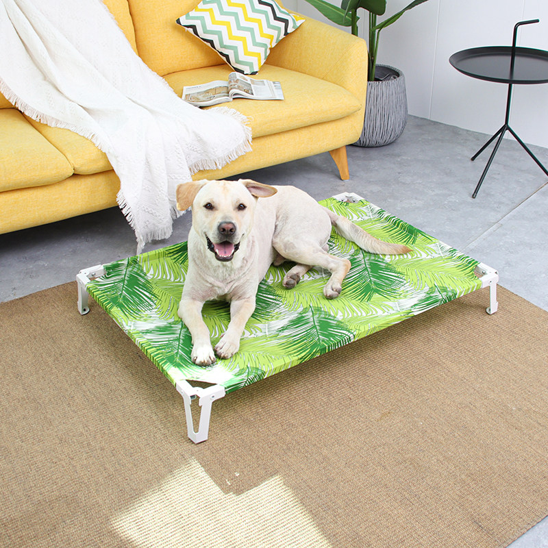 Dog Dog Dog Dog Dog's Dog's Dog's Dog's Dog's Dog's Dog's Dog's Large Dog Network Clothing Bed Can Remove