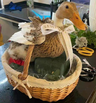 Rattan hand flower basket Woven Fruit Basket Wild Dining Basket Flowers Flower Arrangement Creative Floral Art small basket Home Containing Baskets