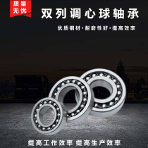 Self-aligning ball bearings 1310 1311 1312 1313 1314 1315 1316 1317 1318 1319k