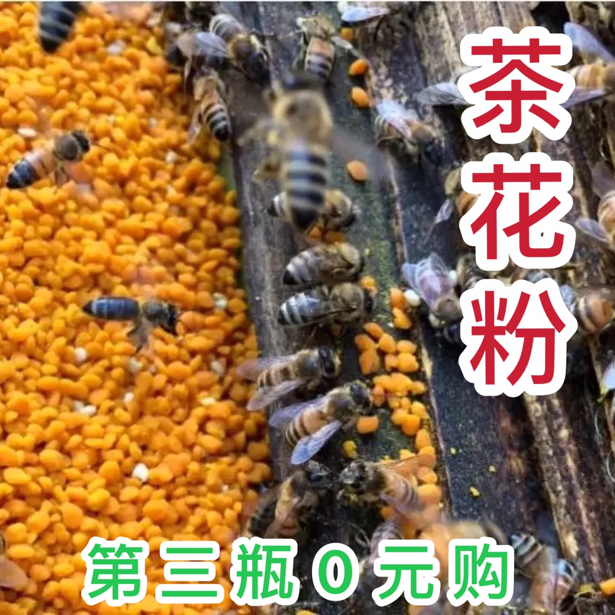 Edible fresh natural tea pollen Direct sowing room now sells for 500 gr per bottle