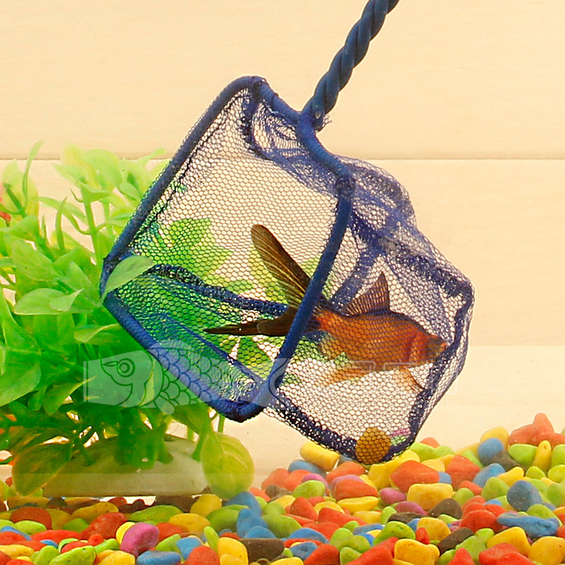 Goldfish Large Fish Mesh Handcopy Metal Frame 3 inches 6 inches 6 inches 8 inches 10 inches 12 inches