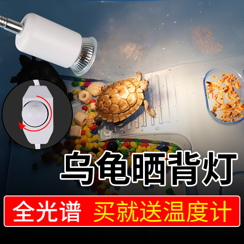 Turtle Sunburn Back Light Full Spectrum Uvb Solar Light Tonic Calcium Germicidal Heating Light Repo crocodile Tortoise Temperature-controlled Light Bulb
