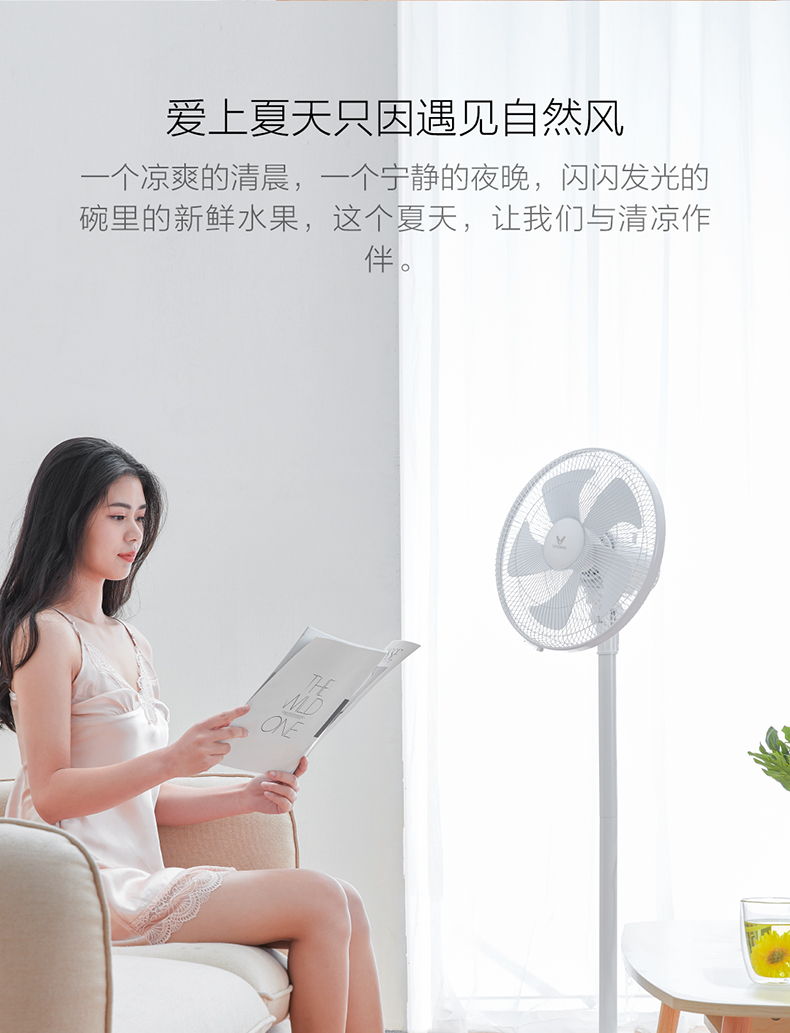 小米生态链 云米 台立两用 家用落地扇 立式电风扇 图14