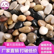 Pebbles Yuhua stone raw stone boutique high polished colorful stone decoration paving fish tank gardening bonsai