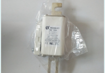 Xian middle melting fuse RS306 01 T5Z 125A 1250V low-voltage fuse current supply