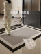 Entrance door floor mat 2026 new style high-end dirty-resistant no-wash door mat home entrance door anti-slip special foot mat