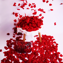 Simulation of rose fake petals wedding hand flower confession marriage wedding wedding room bed decoration layout manufacturing romance