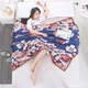 Khăn trải giường đôi chăn mền chăn mặt bích chăn chăn / chăn / nhung chăn chăn mền chăn lông cừu đẹp