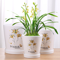 Flower pots Orchid Living room Large number Ceramics 2021 Jasmine bonsai Basin clear cabin Home Gentleman White Manufacturer Direct