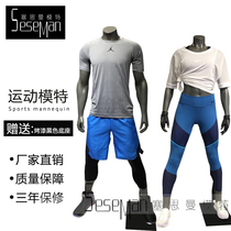 Costume shooting Model props Male full body muscle model man table Sports model Female full body human dummy window