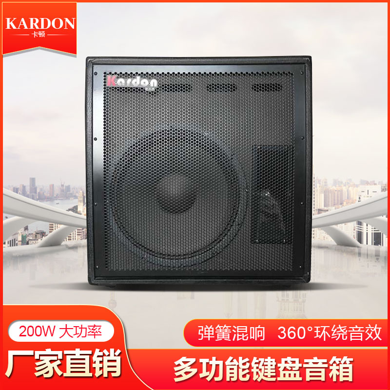 KARDON Carton KB200KB400 100W200W keyboard bass speaker multifunction rehearsal performance speaker