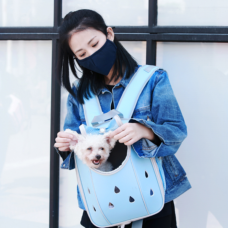 A4Pet bag-and-socket dual-use pet bag Backpack Cat Bag Out of portable Double Shoulder Dog Backpack Teddy Pooch Cat-Taobao