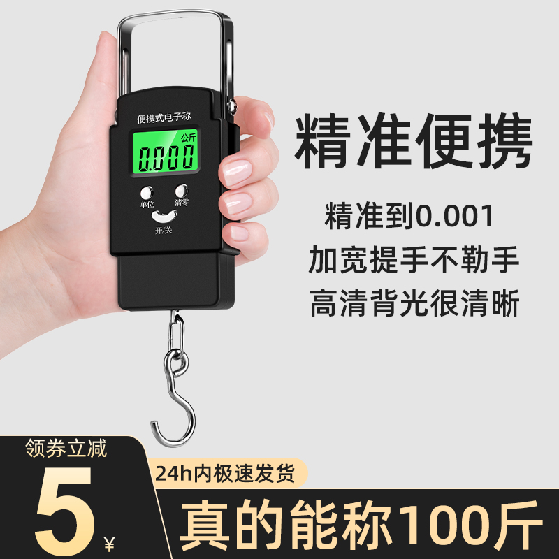 Mini portable electronic scale high precision household handlift scale 50kg small spring precision fishing express ticket