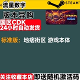 Steam подлинный пиратский сосед