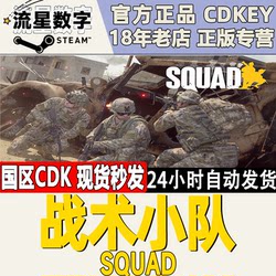 Steam genuine national KEY Tactical Squad Squad activation code is available in seconds