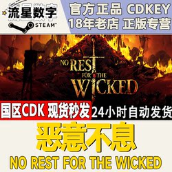 Steam Genuine Country KEY No Rest for the Wicked Activation Code CDKEY