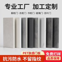 pet cabinet door customised high light skin sensation wardrobe door panel made to import O Songboard osb shoe cabinet door set to be made