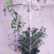 Gardening wire plastic-coated green binding wire potted shape plastic-coated wire bracket flower stand DIY handmade wire wire