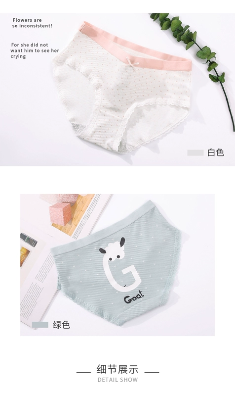 Nghìn lẻ nghệ thuật hoạt hình cô gái quần cotton thoáng khí trong quần đùi cao eo hông 4 hộp quà - Bộ quà tặng