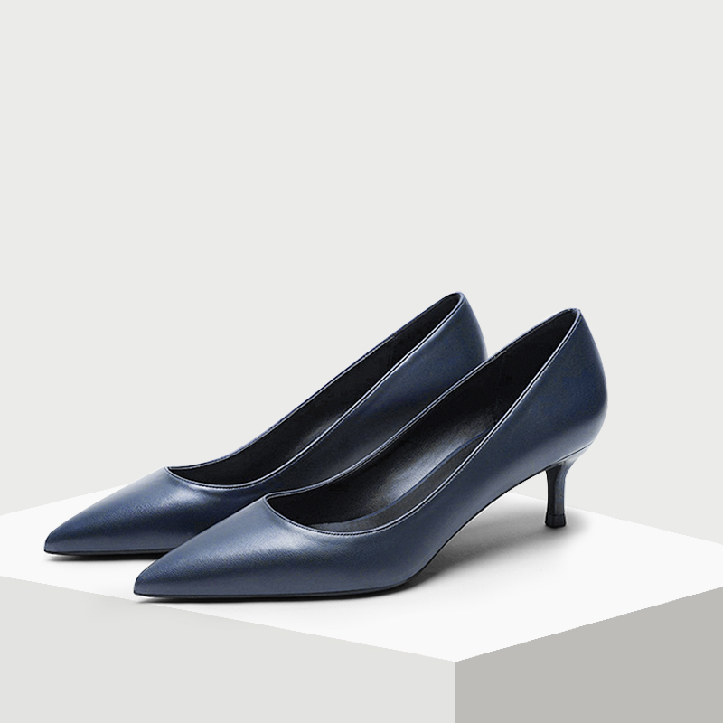 2026 New Blue Professional High-Heeled Shoes for Women, Stiletto Heel, Pointed Toe Design, Niche Style, Versatile Formal Work Shoes
