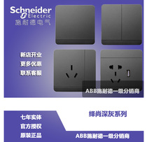 Schneiders continuous deep ash open double open triple open single double control 16A three-hole phone USB five-hole computer plug