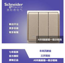Schneider Electric Fengshan Gold Champagne Gold Triple Control Triple - Control Dual - Control 16A