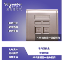 Schneider switch socket Fengshang series champagne gold indulge gold double computer socket dual computer socket