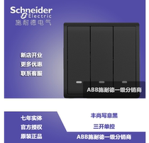 Schneider Fenghua series Writing Black with Fluorescence Triple - open - controlled switch socket panel