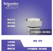  (Original)Schneider illuminated button head ZB2BW11C White