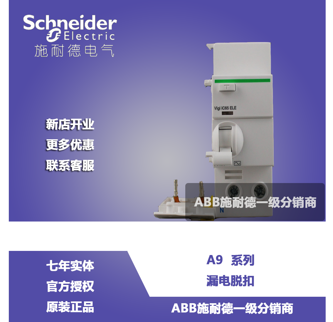 (Original) Schneider Vigi ic65 2P 40A Leakage Disconnect A9V53240